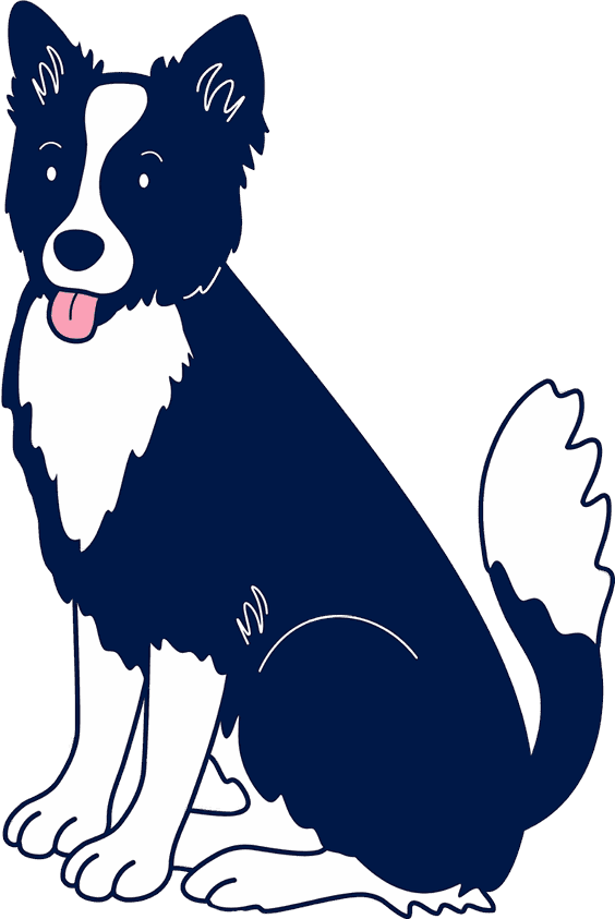 Ash the dog